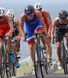 cabccde9-9e24-4e8b-bd5e-093e5674c4fa cabccde9-9e24-4e8b-bd5e-093e5674c4fa